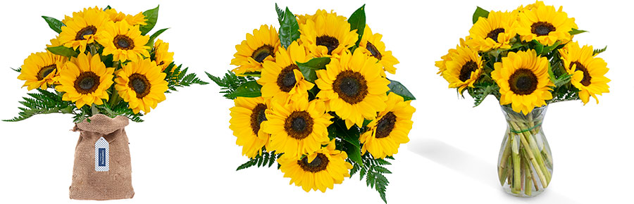 sunflowers from Country Living Floral Collection