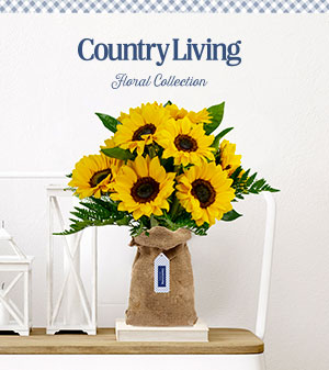 Country Living Flowers Sunflowers