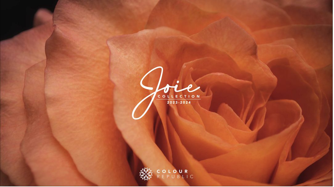 Video: Introducing our new Joie Collection
