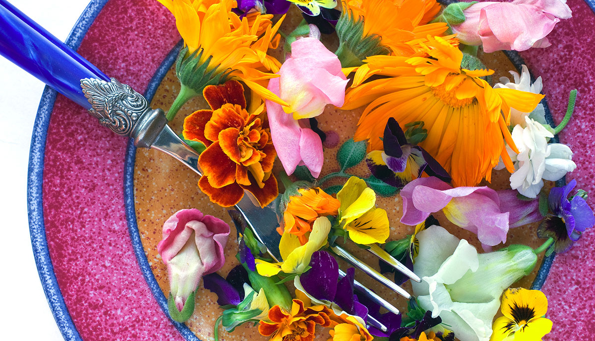 The Best Edible Flowers to Bring Beauty, Taste and Fragrance to Your Table 