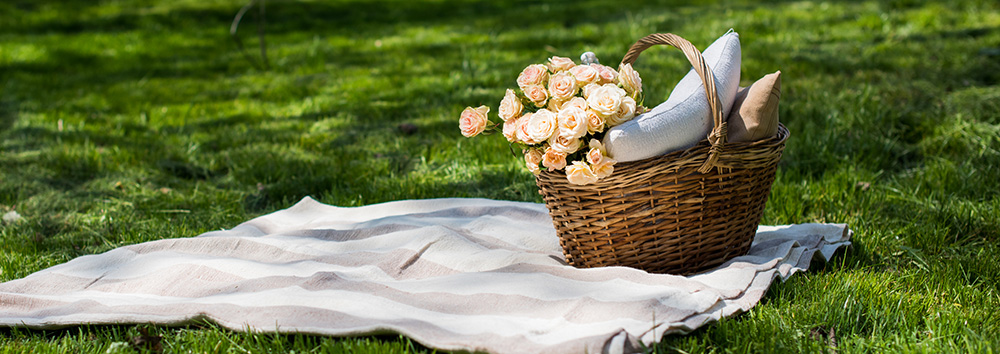 picnic with flowers