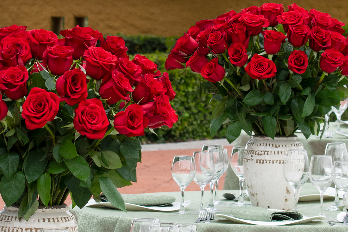 red roses at outdoor event