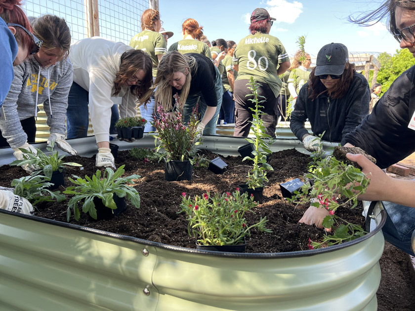 A Blooming Partnership: Building Pollinator Gardens with United Supermarkets and One Tree Planted