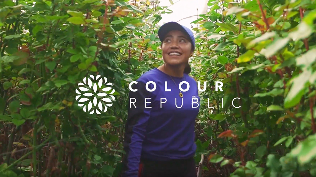 Colour Republic's Sustainability Mission 