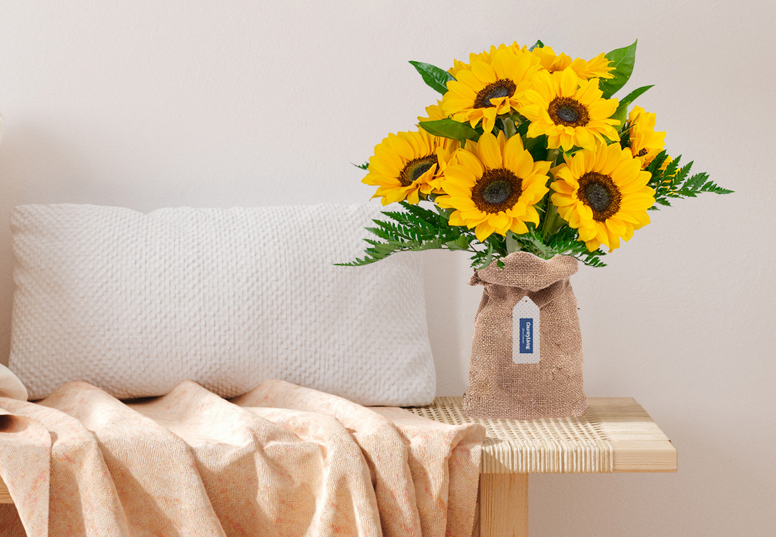 Shop the Country Living Sunflower Collection